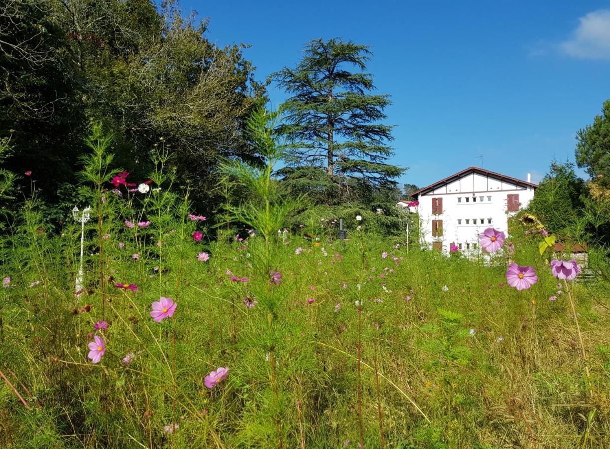 Hotel Pyrenees Atlantique Saint-Pée-sur-Nivelle Zewnętrze zdjęcie